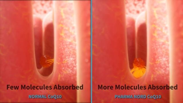 Q10 and absorption - how does your supplement measure up? смотреть онлайн