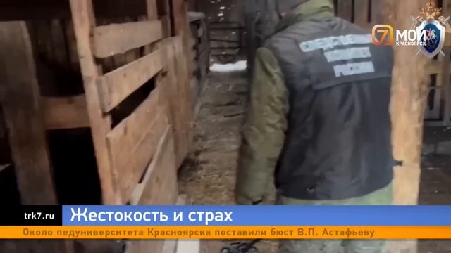 «Я боялась работать с ним»: в Ушканке рассказали об убийце 17-летней девочки, бросившем ее свиньям смотреть онлайн