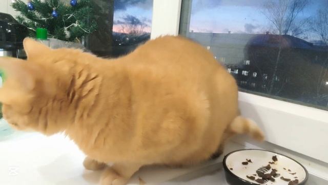 ЗАДАЁТЕ ВОПРОСЫ? ПОЛУЧАЙТЕ ОТВЕТЫ! смотреть онлайн