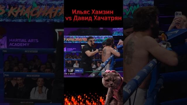 СуперКолени.Зубы на вылет...Ильяс Хамзин vs Давид Хачатрян.РСС смотреть онлайн