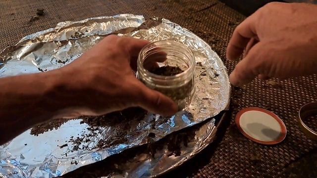 How to make oil of oregano смотреть онлайн