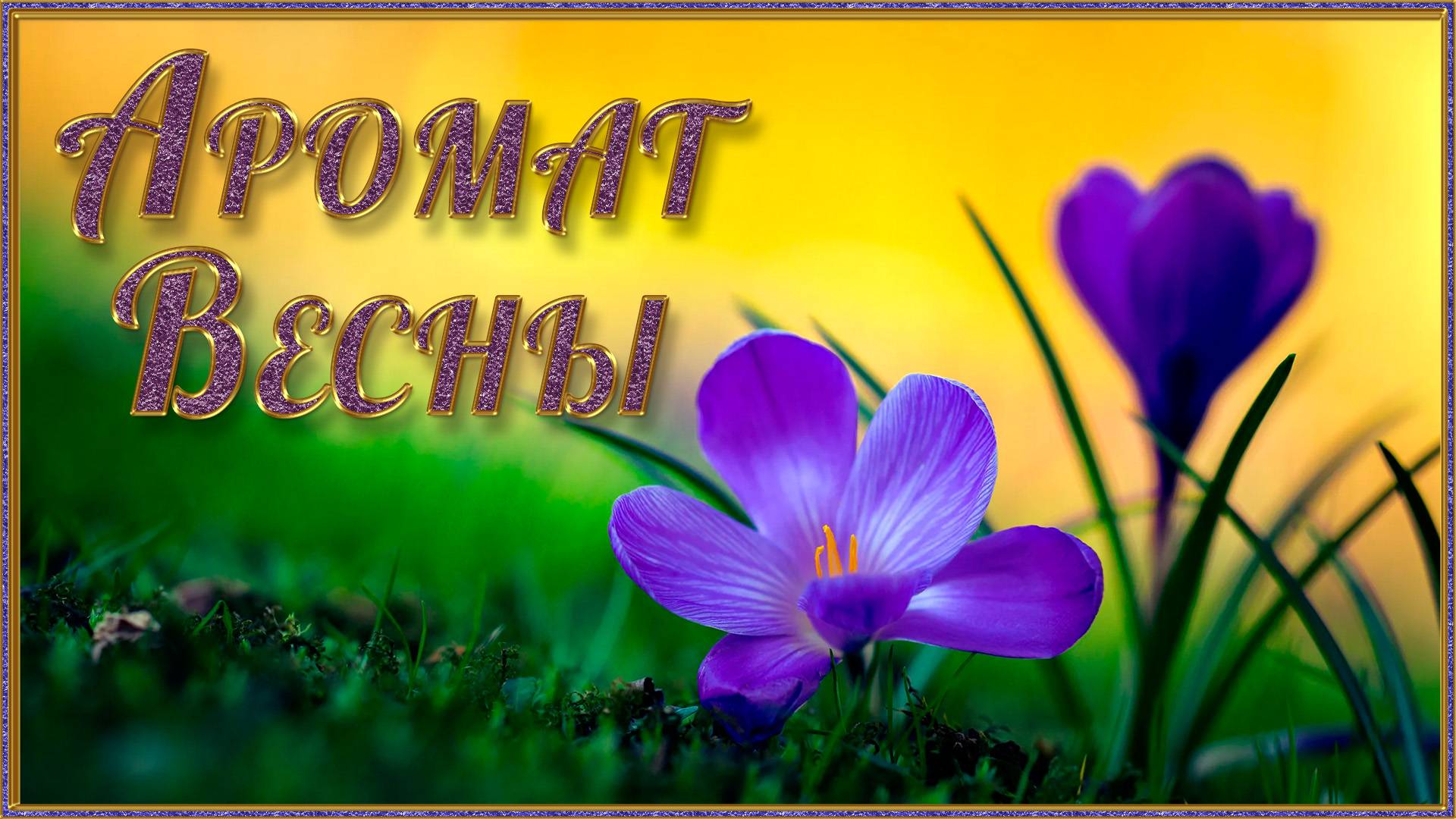 АРОМАТ ВЕСНЫ. смотреть онлайн