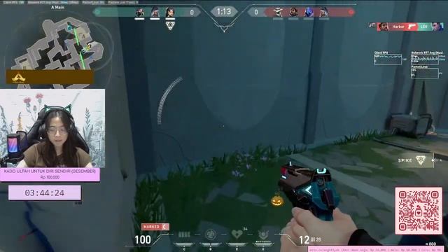 [ VALORANT ] doain hape aku ga riuska :( смотреть онлайн