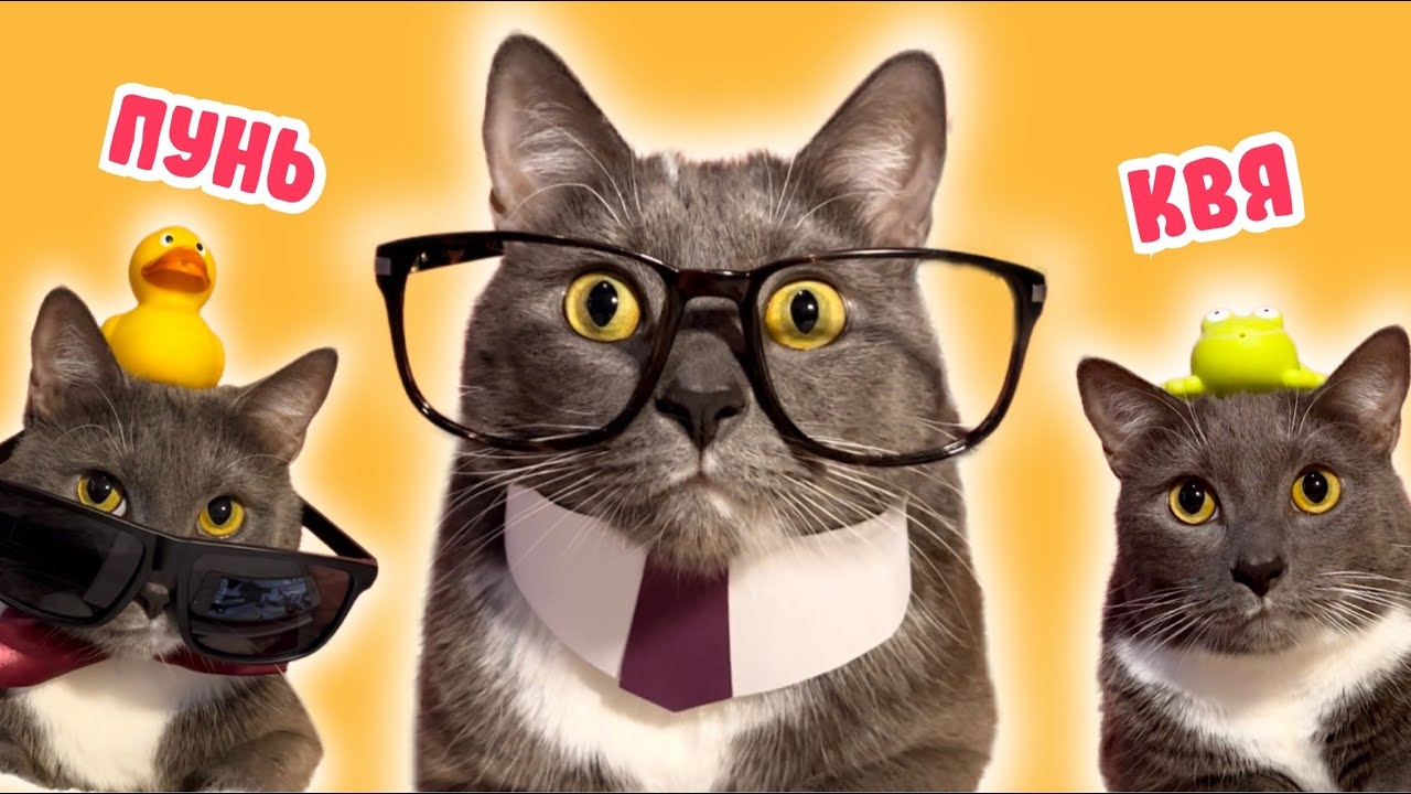 ЕСЛИ БЫ КОТИКИ ХОДИЛИ В ШКОЛУ - СБОРНИК ЛЮБИМЫХ СЕРИЙ смотреть онлайн