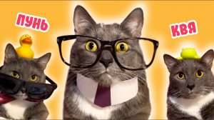 ЕСЛИ БЫ КОТИКИ ХОДИЛИ В ШКОЛУ - СБОРНИК ЛЮБИМЫХ СЕРИЙ