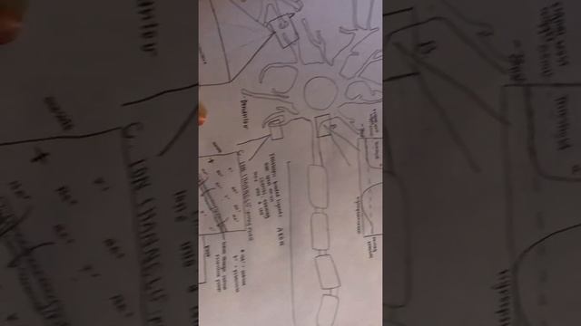 Neuron Transmission Drawing- Barbari смотреть онлайн