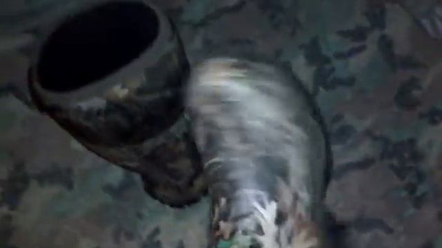 Gear Review vid: Reed Glacier Camo boots смотреть онлайн