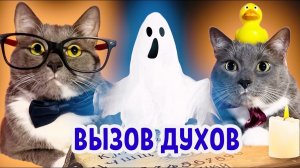 ЕСЛИ БЫ КОТИКИ ХОДИЛИ В ШКОЛУ - ПРИЗЫВАЕМ ПРИЗРАКОВ НА ХЭЛЛОУИН
