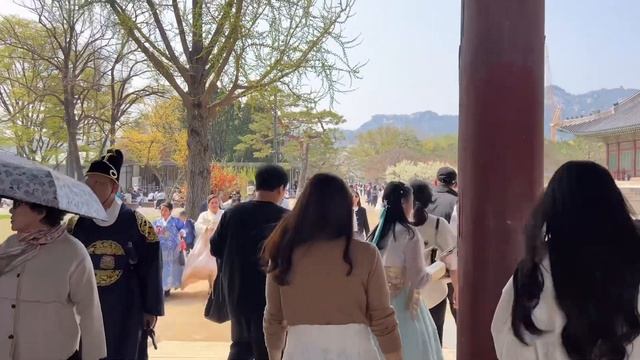 Весенняя Прогулка по дворцу Кёнбокунг/ Влог из Сеула/ Прогулка в Ханбоках/Цветение сакуры/KOREA VLO