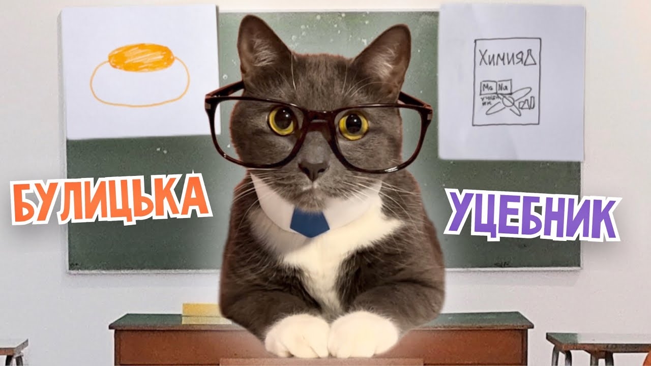 ЕСЛИ БЫ КОТИКИ ХОДИЛИ В ШКОЛУ - ЧТО ВАМ БОЛЬШЕ ВСЕГО НРАВИТСЯ В ШКОЛЕ? смотреть онлайн