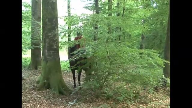 OREGANO FILM
