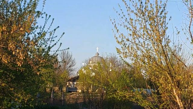 Сільський марафон |Дім -робота та всі дороги ведуть на город #життявселі #село #сільськежиття смотреть онлайн