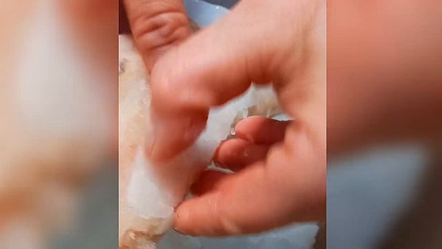 Срочно! Смотреть как Нас разводят, продавая замороженные продукты! УЖАС! смотреть онлайн