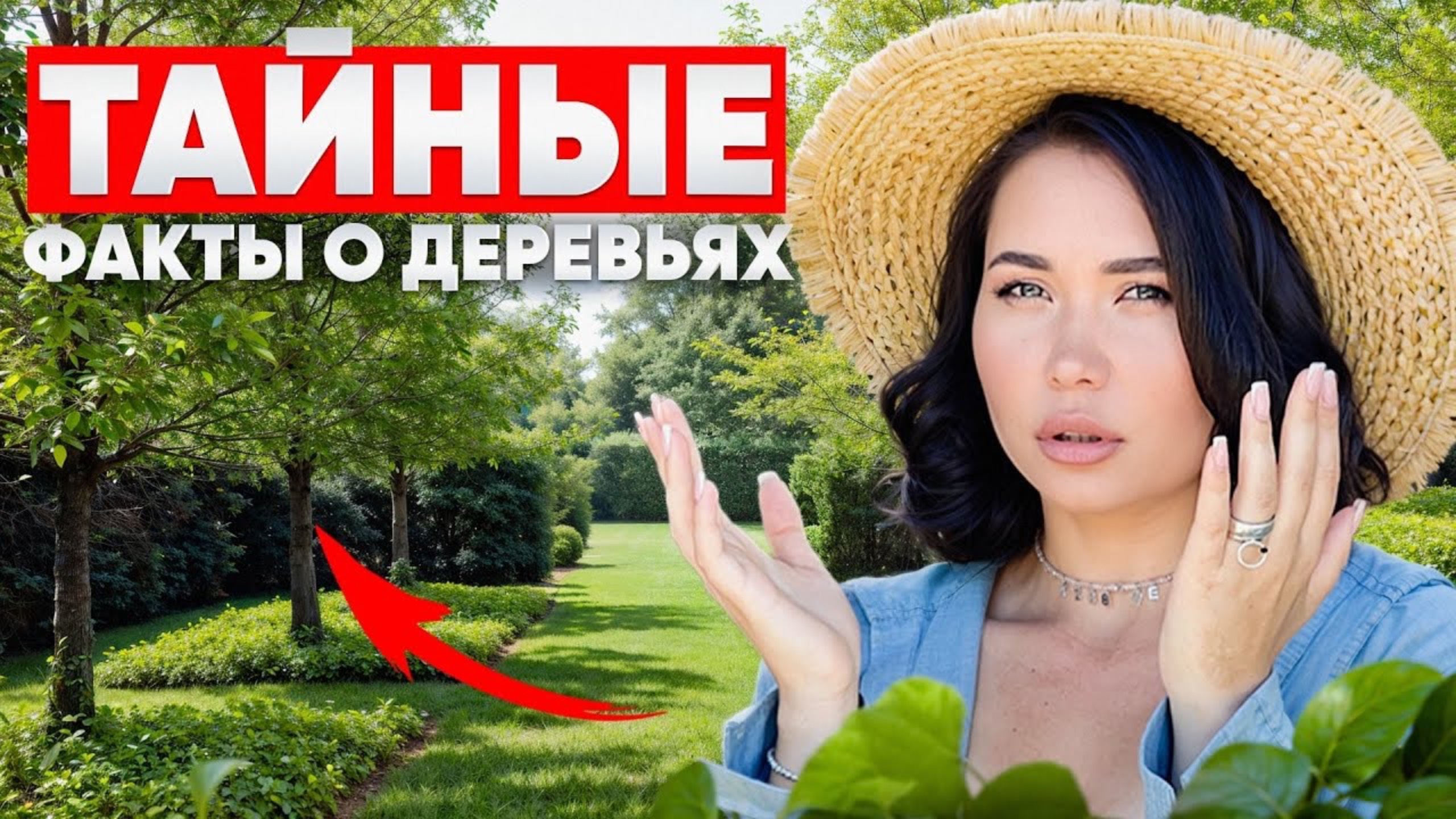 СПОРИМ, вы и не знали этого о ДЕРЕВЬЯХ! смотреть онлайн