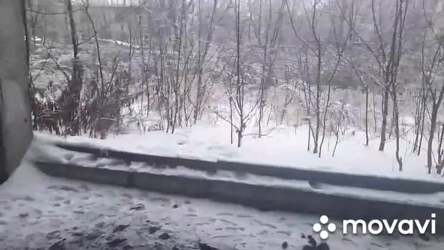ВЛОГ//шашлыки смотреть онлайн