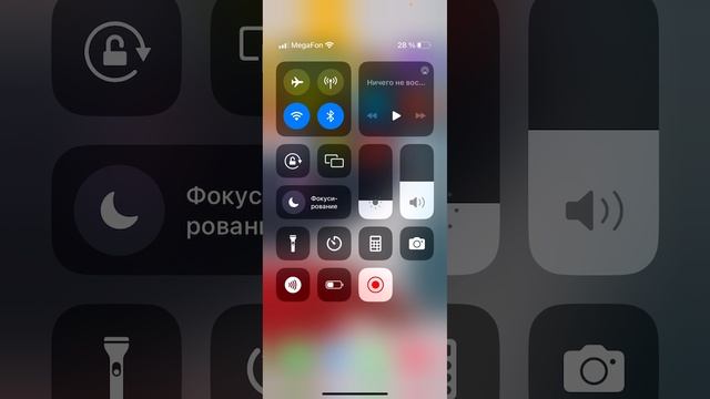 Трансл и в 12 по мск