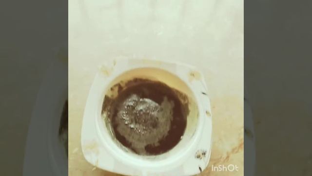 Hair oil,balun ko smooth long r black bnaye ...Kalonji oil made at home🙂🙂 смотреть онлайн