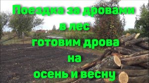 Поездка за дровами в лес, готовим дрова на осень и весну.