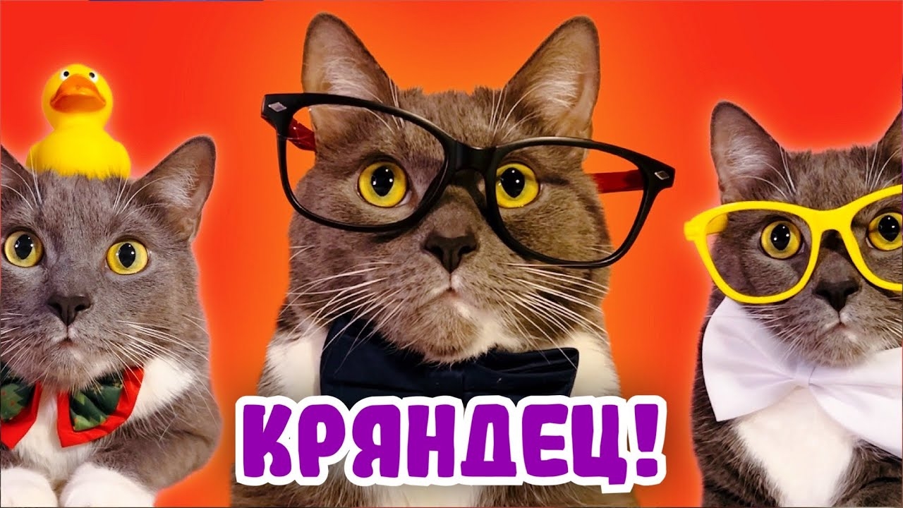 ШКОЛЬНЫЙ ХУЛИГАН смотреть онлайн