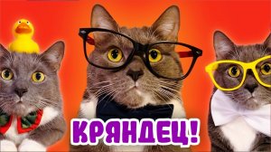 ШКОЛЬНЫЙ ХУЛИГАН