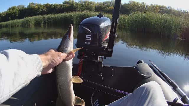 Рыбалка с лодки на окуня и щуку. Осенняя рыбалка 2021.