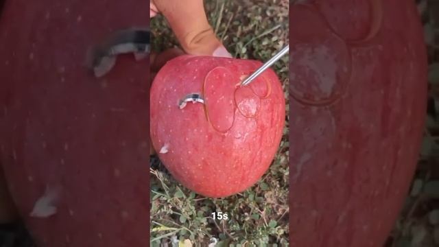 Red Apple Lovers #shortsfeed $Ytshort #shorts #shortvideo #youtubeshorts #trending смотреть онлайн