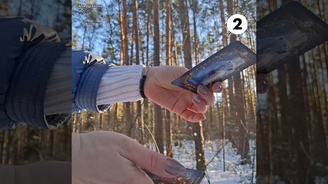 ❄️Совет-подсказка от Богов Севера❄️ смотреть онлайн