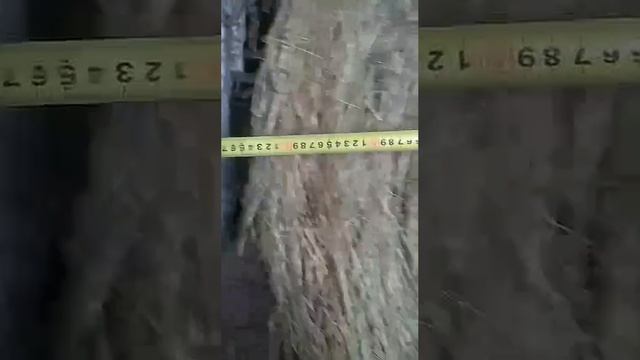 video5465558502221045693 смотреть онлайн
