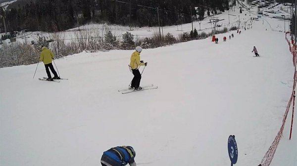 Веб камеры Сорочаны