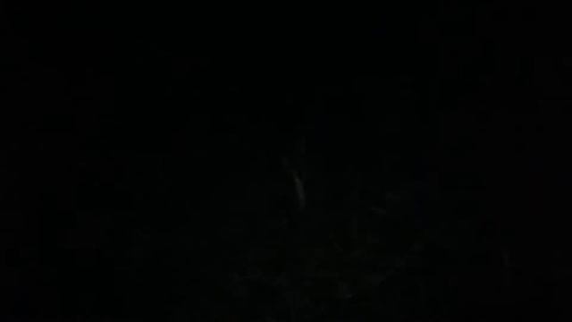 ХОРРОР В ЛЕСУ У КОСТРА.АТАКА НОЧНЫХ ЖИТЕЛЕЙ!!! смотреть онлайн