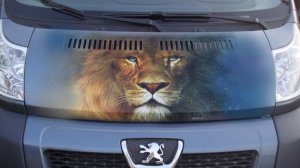 08-01-2025 Моргает маслëнка. Пежо боксёр.