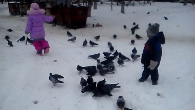 Криська и Коська гоняют голубей))) смотреть онлайн