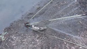 Рыбалка на хапугу 03.01.25