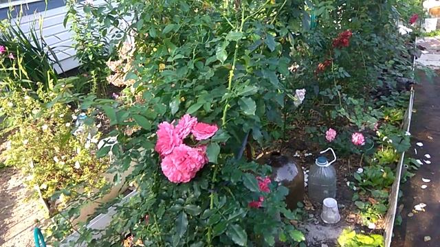 Интернет на даче РАБОТАЕТ ! смотреть онлайн