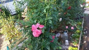 Интернет на даче РАБОТАЕТ !