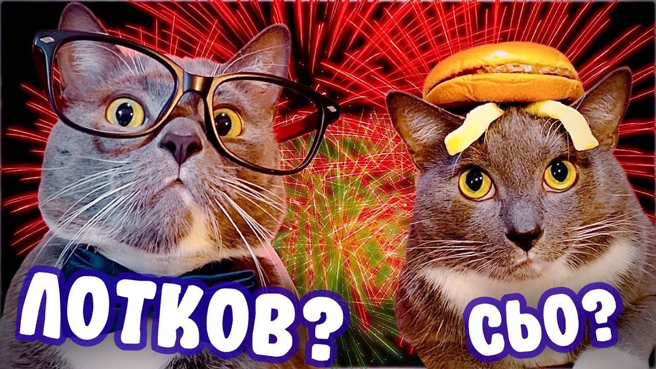 КОТИКИ В ШКОЛЕ ПРАЗДНУЮТ НОВЫЙ ГОД! смотреть онлайн