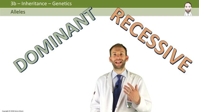 Alleles, phenotype and genotype - GCSE Biology (9-1) смотреть онлайн