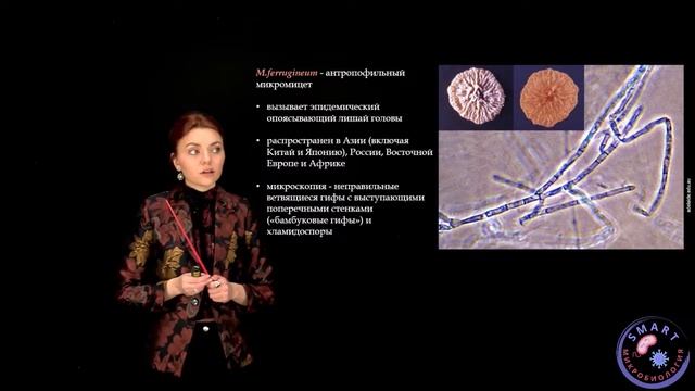 Микробиология. 