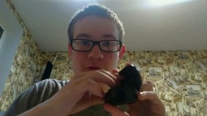 Моё ПЕРВОЕ АСМР видео