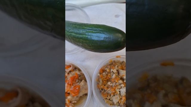Кролик в брусничном соусе, индейка в собственном соку и немного гречки. Обед на работе. смотреть онлайн