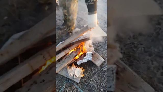 Шашлык на Природе #шашлык #наприроде #костёр смотреть онлайн