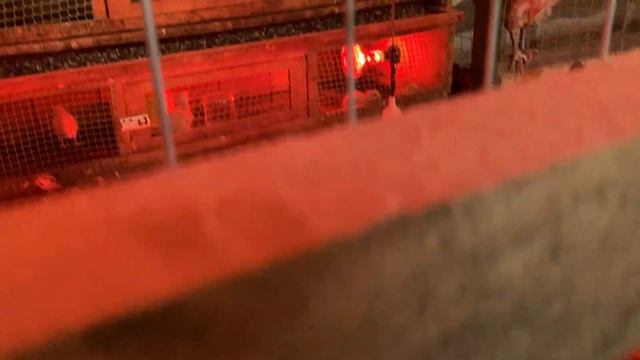 ГОРЫ бесплатной еды / За что боролись на то и напоролись / Влог от 10.05.21 смотреть онлайн