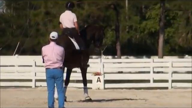 Clinic with Cesar Torrente rider Albena "Beny" Konstantinova horse: Hammingway 7yr old DWB смотреть онлайн