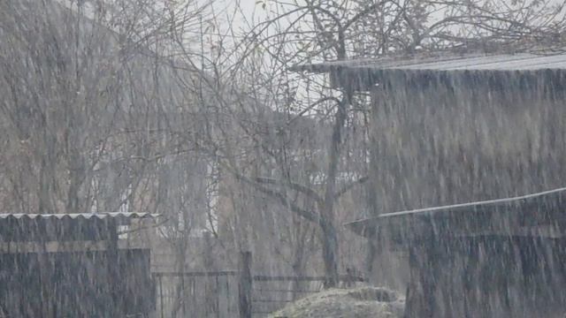 MAH00024.MP4 смотреть онлайн