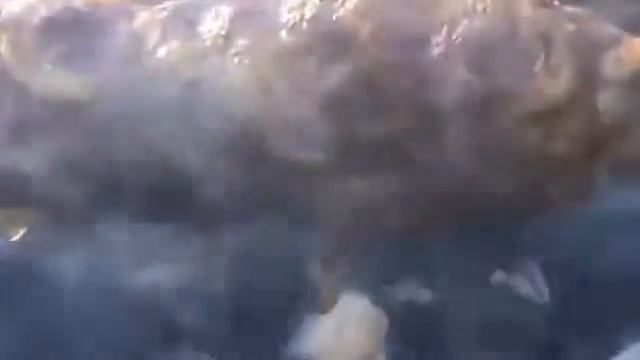 Узбекский шашлык это очень чудесно смотреть онлайн