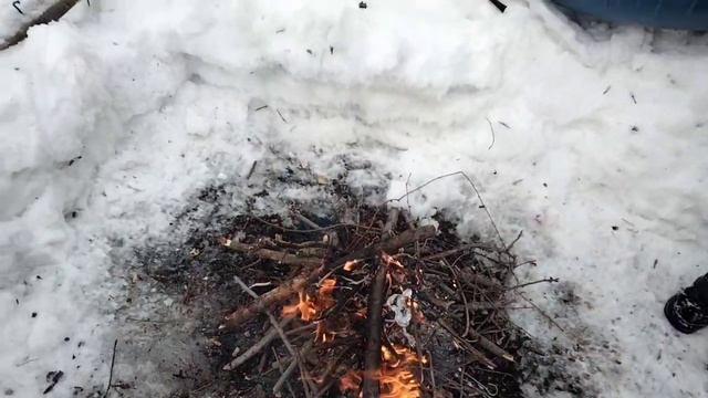 Пожарил шашлык в зимнем лесу 🌡️🌲❄️🌲🌳🌲 смотреть онлайн