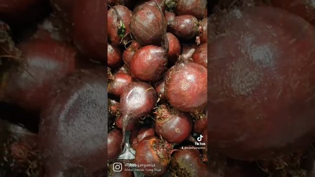 Boost Your Energy with Beetroot - Easy and Nutritious, Detoxify and Add Vitality смотреть онлайн