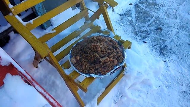 Плов в ноябре на улице смотреть онлайн