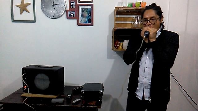 Valve Amplifier for Harp смотреть онлайн