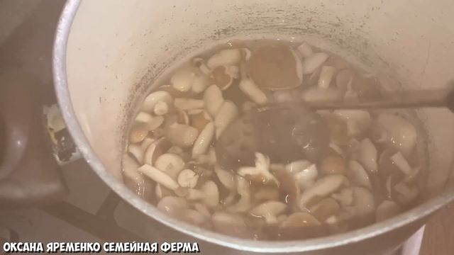 МАРИНОВАНЫЕ МАСЛЯТА / Простой рецепт смотреть онлайн